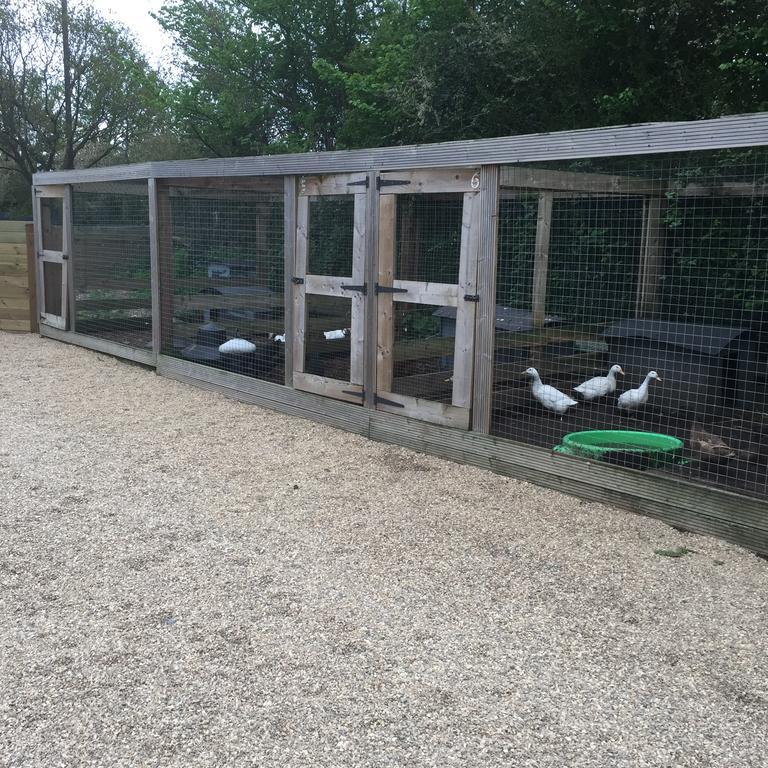 Willow Court Farm The Lodge & Petting Farm, 8 Mins From Legoland & Windsor, 15 Mins From Lapland Uk Ngoại thất bức ảnh