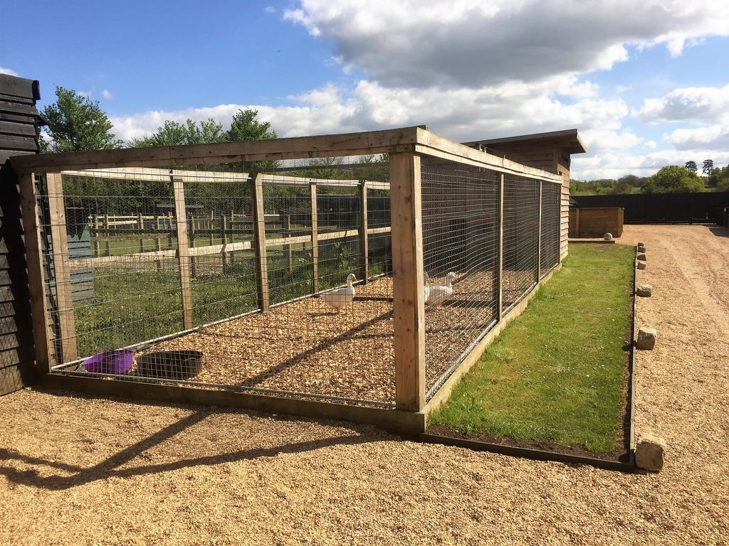 Willow Court Farm The Lodge & Petting Farm, 8 Mins From Legoland & Windsor, 15 Mins From Lapland Uk Ngoại thất bức ảnh