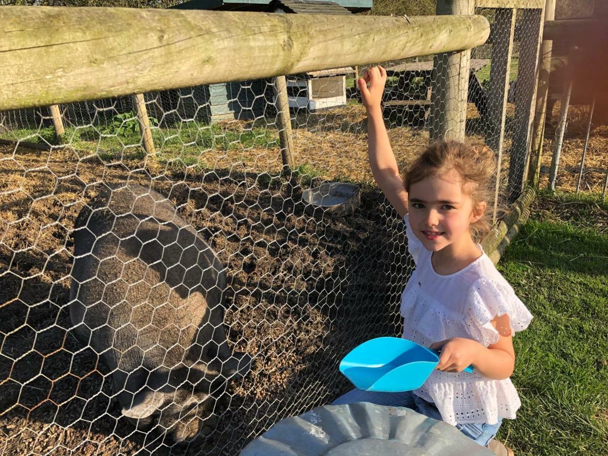 Willow Court Farm The Lodge & Petting Farm, 8 Mins From Legoland & Windsor, 15 Mins From Lapland Uk Ngoại thất bức ảnh