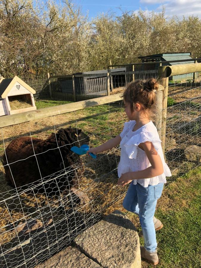 Willow Court Farm The Lodge & Petting Farm, 8 Mins From Legoland & Windsor, 15 Mins From Lapland Uk Ngoại thất bức ảnh